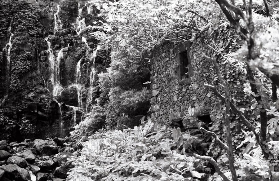 Film Washi Film Washi Z 400 Bulk Roll 30.5 m sample photo 1 - 135 / ISO 400 / B&W / Negative / 135 bulk / 30.5 m / ISO 400